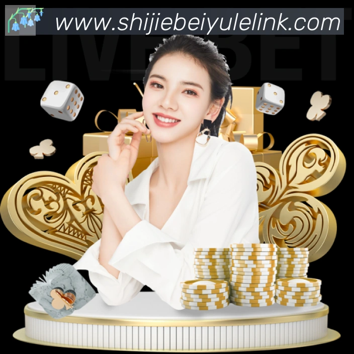 未来规划